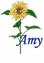 Amy
