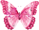 Denise pink butterfly