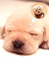 KAWAII