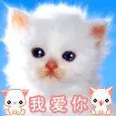 KAWAII