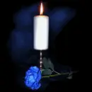 White Candle and Blue Rose