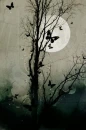 night