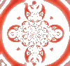 changing flower