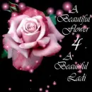 beautiful for beautiful lady