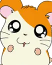 hamtaro