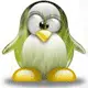 my little cute penguin !!!