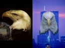 9-11 Eagles