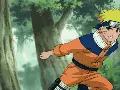 team naruto