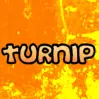 Turnip