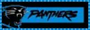 Carolina Panthers