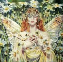 Daisy Chain Fairy