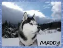Maddy