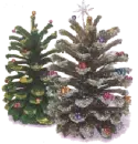 Cones