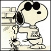 Joe Cool