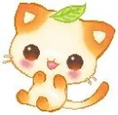 a cute kittykat