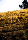 over the hill