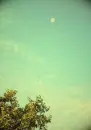 baloon