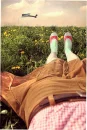 in the grass