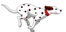 Running Dog