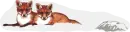 Foxes