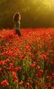 field