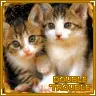 Double Trouble