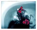 Flower dead