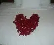 Rose Petals