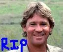 rip steve