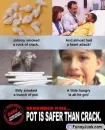 pot-crack