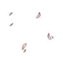 cerza