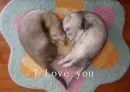I love you