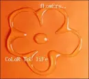 Color your life