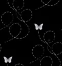 butterflies