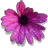 Lovely Flower