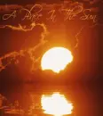 A Place In The Sun