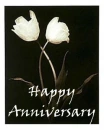 happy anniversary