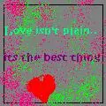 plain