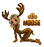 moose
