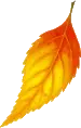 leaf