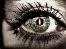 eye