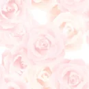 Pink Roses