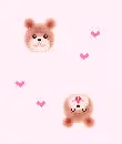 Bears