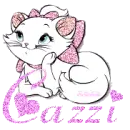 Cazzi