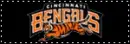 Cincinnati Bengals