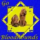 Go Bloodhounds