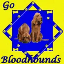Go Bloodhounds