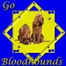 Go Bloodhounds