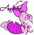 Andrea piglet