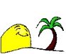 sun and palm